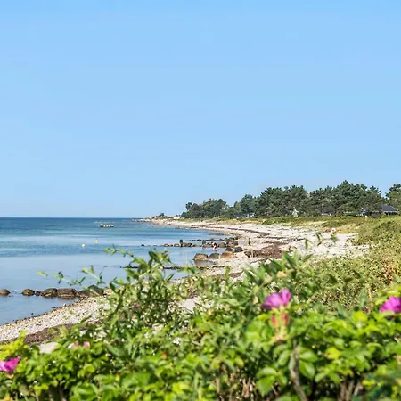 3 Bedroom Lovely In Martofte